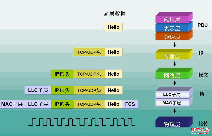 BeginMan--TCP/IPЭ